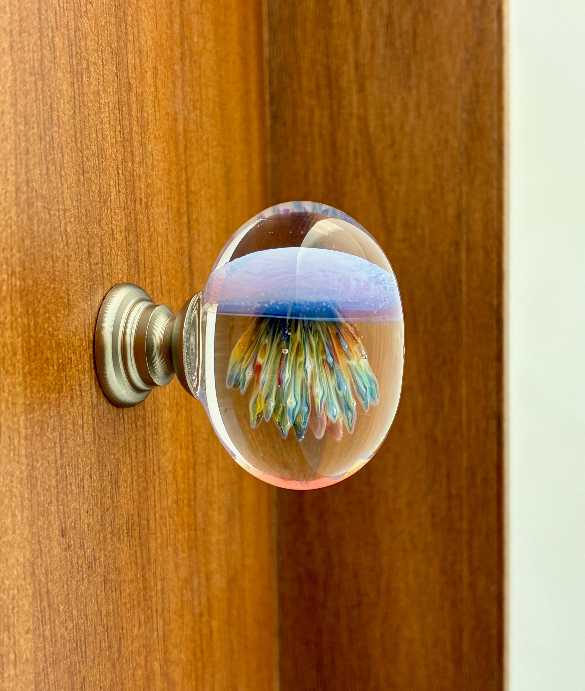 Jelly Fish Cabinet & Drawer Pull