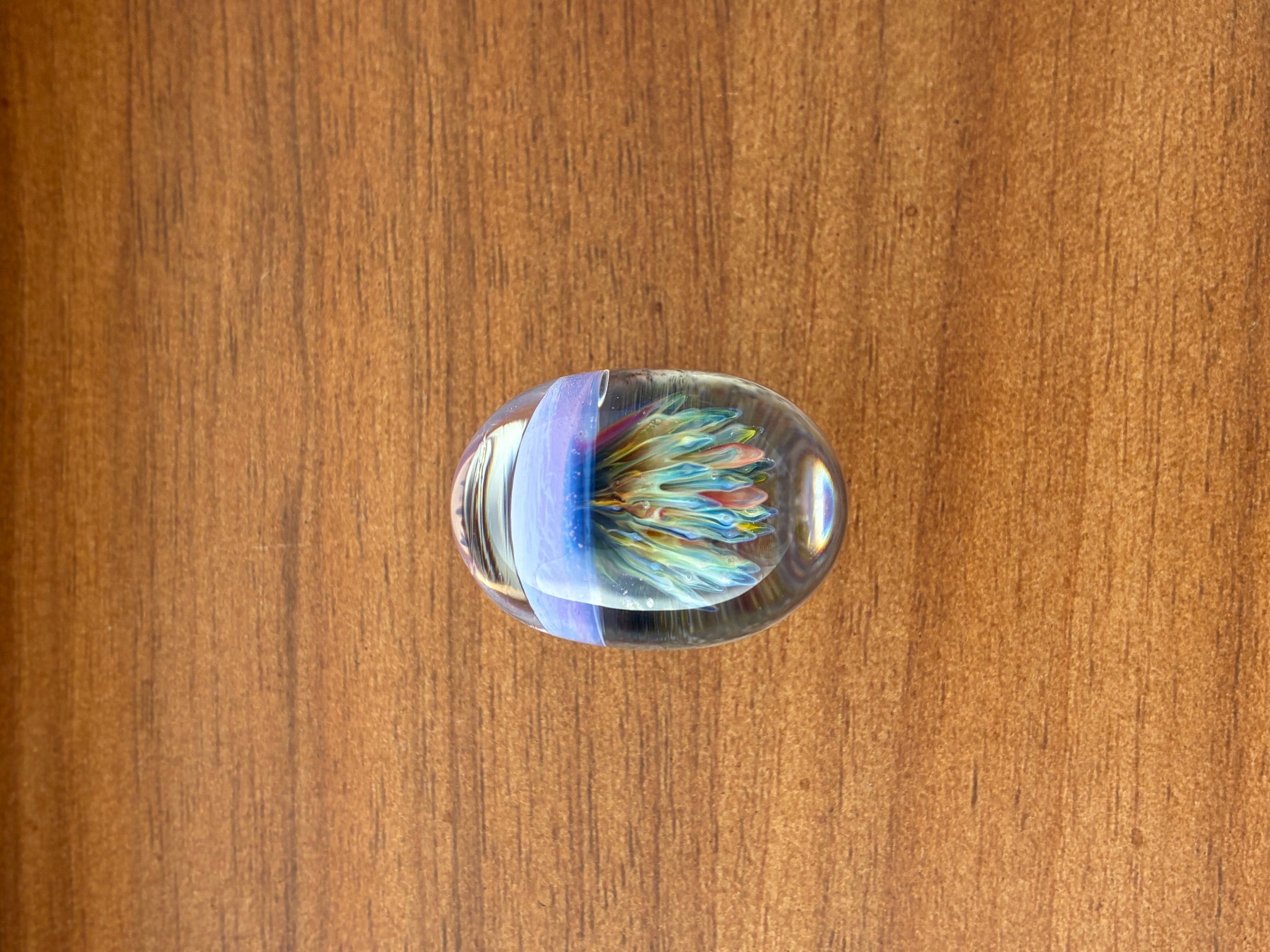 Jelly Fish Cabinet & Drawer Pull